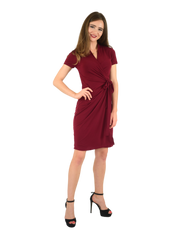 Classic Fit Wrap Dress with Cap Sleeves & Collar